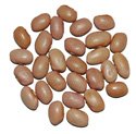 PINK BEANS, 25 lb Bag