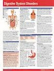Digestive-Diseases