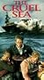 Cruel Sea [VHS]