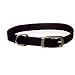 Aspen Pet 3/8 Single Ply Nylon Dog and Cat Collar