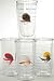 Tervis 16oz. Fish Flies Tumbler Set CLEAR