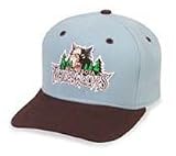 Minnesota Timberwolves Cap by New Era