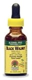 Black Walnut Green Hulls