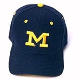 Michigan DH Cap