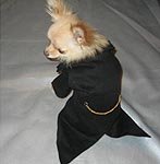 Dog Costume Tuxedo with 