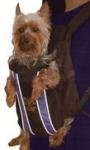 Outward Hound Legs Out Pet Carrier  Medium/Black