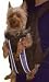 Outward Hound Legs Out Pet Carrier  Medium/Black