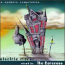 Revue Various Artists  / Electric Manor, Vol. 1: A Sunburn Compilation