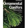 Ornamental Conifers Identifier (Identifiers)