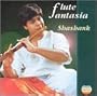 Flute Fantasia