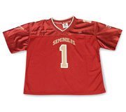 Buy Florida State Seminoles Ladies Gametime Football Jersey