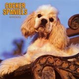 Cocker Spaniels , 12x12