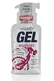 Hammer Nutrition Raspberry Pouch