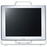  : Shuttle XP17 17' LCD Monitor ( XP17GSP4 )