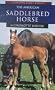 The American Saddlebred Horse (Learning about Horses)