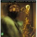Portrait in the Mist by Andrew Lamb