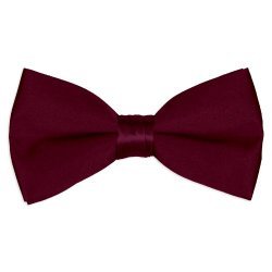 TopTieâ„¢ Mens Formal Solid Burgandy Satin 2 