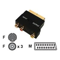 Belkin Composite/S-Video Cnnctr * Scart/3Xrca/Mindin4M;Gold