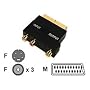 Belkin Composite/S-Video Cnnctr * Scart/3Xrca/Mindin4M;Gold