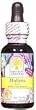 Mullein Leaf Extract - 1 oz - Liquid