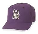 Northwestern University Cap