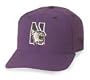 Northwestern University Cap