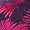 Purple Mix