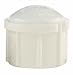 Tools & Hardware : CHARLOTTE PIPE & FOUNDRY PVC 02117 0800 PVC CAP 1/2"