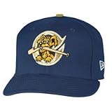 Charleston Riverdogs New Era 2008 Onfield 59FIFTY