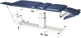 Single Pedestal Hi-Lo Treatment Table, Four Pieces, Top, Three Pieces Head Section