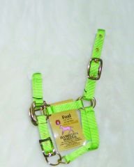 Hamilton Deluxe 3/4" Nylon Horse Halter with Adjustable Chin, Lime Green, Faol/Average Mini Horse (100-200 lbs)