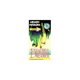 Urusei Yatsura 2: Beautiful Dreamer [VHS]