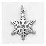 Snowflake Charm