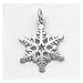 Jewelry : Snowflake Charm