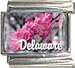 Clearly Charming Delaware State Flower Peach blossom Italian Charm Bracelet Link
