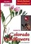 Guide To Colorado Wildflowers Vol 1: Plains and Foothills