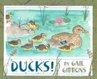 Ducks!