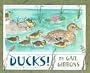 Ducks!