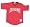Minor League Baseball Ashville Tourists V Neck Adult Jersey (Adult Medium)