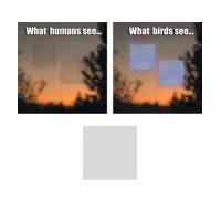 Square Decal by Window Alert