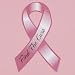 12 Breast Cancer Awareness Pink Ribbon Car Magnets