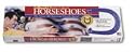 REGULATION METAL HORSESHOES