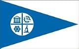 Minneapolis Nylon Flag 2' x 3'