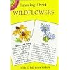 Learning About Wildflowers (Dover Little Activity Books)