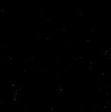 44 Wide Cotton Broadcloth Black Fabric By The Yard