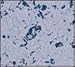 Zolatone BASIC BLUE Quart - Spatter Finish