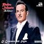 Cantante Del Siglo