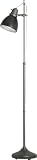 Ott-Lite Eaton 18-Watt VisionSaver Plus Floor Lamp