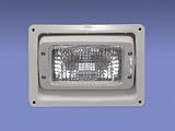 Adjustable White Ramp Light