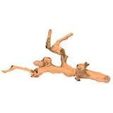 Grapevine Sand Blast - Show - 30 in. to 40 in.